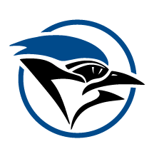 clever school district